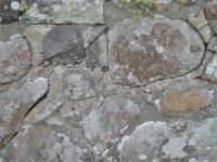 DSC 0017